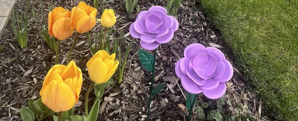 Purple Rose to Remember roses