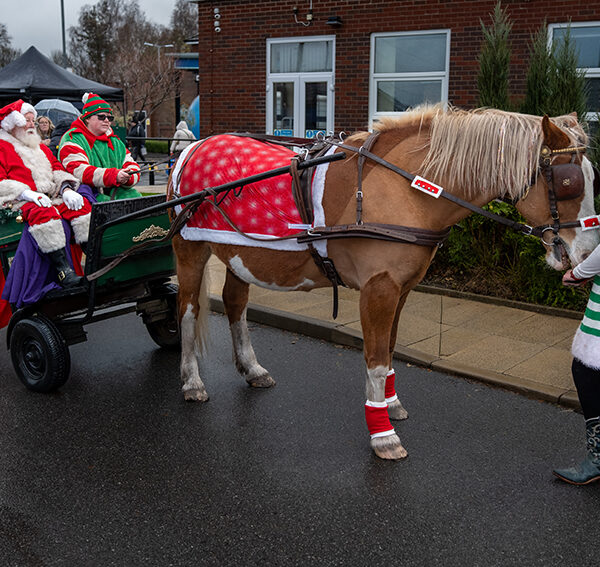 Santa and his horse