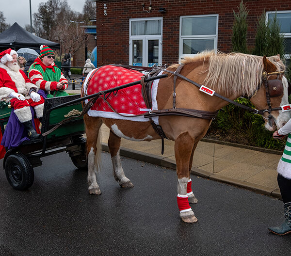 Santa and his horse