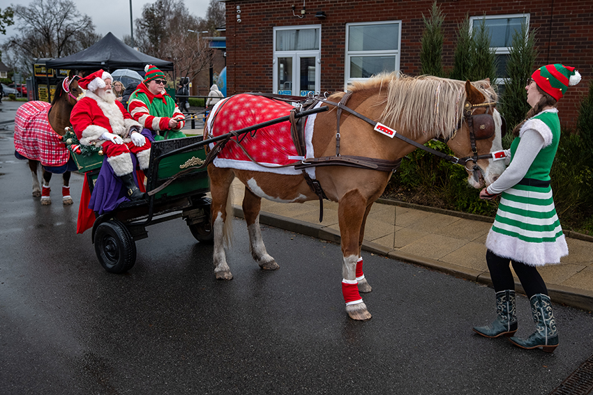Santa and his horse